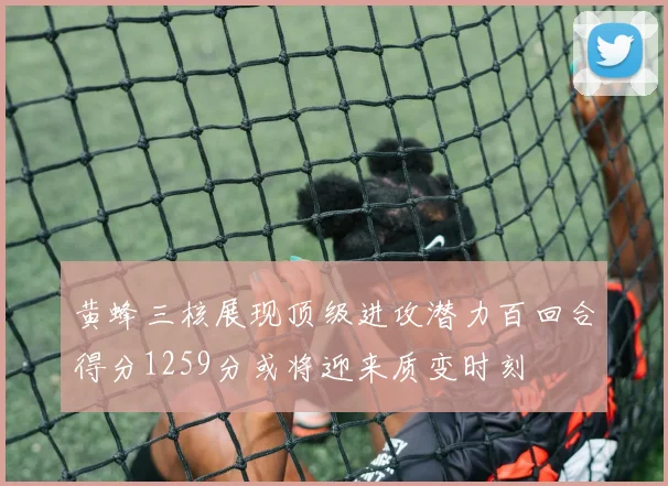 黄蜂三核展现顶级进攻潜力百回合得分1259分或将迎来质变时刻